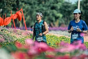 BIB: 
                            <button type="button" onclick="openModal(25933839)" class="btn btn-primary btn-sm float-right btn-popup" data-toggle="modal" data-target=".modal-high-quality">
                        <i class="fas fa-shopping-cart"></i> Add to Cart
                    </button>
                                            <button type="button" onclick="isThisMe(25933839, true)" class="btn btn-success btn-sm float-right btn-popup btn-isme hidden" data-toggle="tooltip" data-placement="bottom" title="นี่คือรูปของคุณใช่ไหม คลิกที่นี่เพื่อเอาเข้าอัลบั้ม">
                        <i class="fas fa-plus"></i> Add to album
                    </button>
                    <button type="button" onclick="isThisMe(25933839, false)" class="btn btn-warning btn-sm float-right btn-popup btn-isnotme hidden">
                        <i class="fas fa-ban"></i> Remove from album
                    </button>